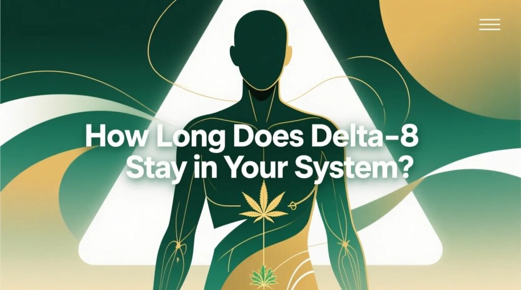 Illustration of a human figure with cannabis leaves, pathway lines, and text reading "How Long Does Delta-8 Stay in Your System?"—depicting how Delta-8 stays in your system.
