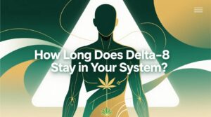 Illustration of a human figure with cannabis leaves, pathway lines, and text reading "How Long Does Delta-8 Stay in Your System?"—depicting how Delta-8 stays in your system.