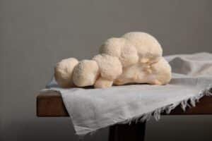 A closeup shot of white Lion's mane mushrooms on a white cloth placed on a wooden table
