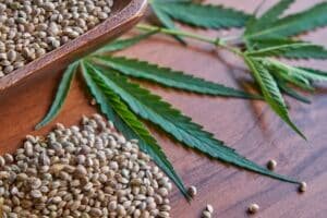 seeds hemp on the table, oil in a glass jar, cannabis leaves isolated on white background.