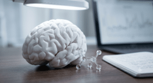 A model of a human brain, a molecular structure, and a notebook rest on a wooden desk beside a laptop and a bright lamp.