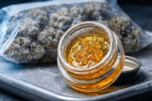 A glass jar of golden cannabis concentrate is open on a tray, with a clear plastic bag of cannabis buds in the background.