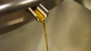 Golden hemp extract pouring from a stainless steel spout during CBD distillate production