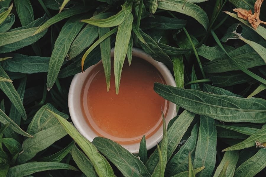 Herbal infusion surrounded by green leaves, a plant-based wellness routine
