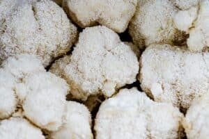 Fresh Lion's Mane mushrooms, one of four functional mushrooms in the KO Blend gummies