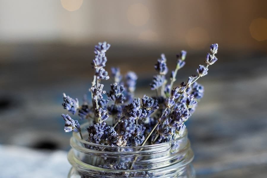Dried lavender stems in a small glass jar