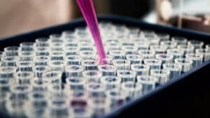 A pipette adding liquid to a tray of small clear laboratory tubes